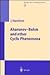 Aharonov-Bohm and other Cyclic Phenomena (Springer Tracts in Modern Physics)