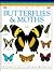 Butterflies and Moths (Travel Guide)