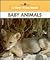Baby Animals (New True Book)