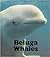 Beluga Whales (Naturebooks)