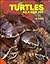 Turtles As a New Pet by Al David