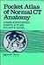 Pocket Atlas of Normal Ct Anatomy