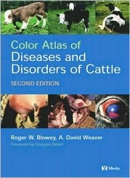Color Atlas of Diseases and Disorders of Cattle (Hardcover)