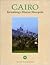 Cairo: Revitalizing a Historic Metropolis