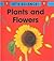 Plants and Flowers by Sally Hewitt