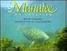 Manatee (On Location)