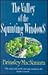 The Valley of the Squinting Windows by Brinsley MacNamara