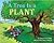 A Tree Is a Plant (Let's-Read-and-Find-Out Science)
