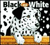 Black and White (Hardcover)
