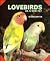 Lovebirds As a New Pet