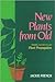 New Plants from Old: Simple, Natural, No-cost Plant Propagation