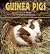 Guinea Pigs (Nature Watch)