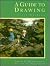 A Guide to Drawing