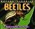 Nature Close-Up - Beetles