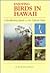 Enjoying Birds and Other Wildlife in Hawaii by H. Douglas Pratt