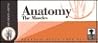 Anatomy: The Muscles, VIS-Ed Cards (Set of 250) Anatomy: The Muscles, VIS-Ed Cards (Set of 250)