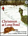 Christmas at Long Pond
