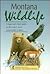 Montana Wildlife: A Childre...