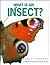 What Is an Insect