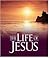 The Life of Jesus by Julie K. Hogan