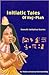 Initiatic Tales of Hej-ptah / Kemetic Initiation Stories