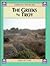 The Greeks and Troy (Hidden Worlds)
