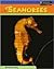 Seahorses