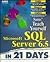 Teach Yourself Microsoft SQL Server 6.5 in 21 Days