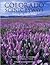 Colorado Scenic Byways - Taking the Other Road - Two-Volume Edition - CSB Book + Road Atlas and Travel Guide