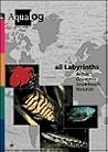 AQUALOG All Labyrinths - Bettas, Gouramis, Snakeheads and Nandids (English and German Edition)