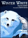 Winter White (Hardcover)
