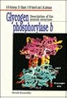 GLYCOGEN PHOSPHORYLASE B: DESCRIPTION OF THE PROTEIN STRUCTURE