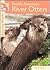 River Otters by John E. Becker