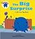 The Big Surprise by J.P. Chanda