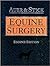 Equine Surgery