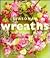 Seasonal Wreaths