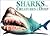 Sharks and Other Creatures of the Deep