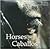 Horses/Caballos: Breeds - Leisure Time - Sports/Razas - Ocio - Deporte (English and Spanish Edition)