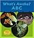 What's Awake? ABC (Heinemann Read & Learn)