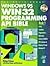 Windows 95 Win 32 Programmi...