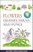 Flowers, Grasses, Ferns and...