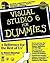Visual Studio? 6 For Dummies?