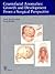 Craniofacial Anomalies: Growth and Development from a Surgical Perspective