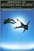 Essentials of Accounting Review