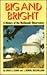 Big and Bright : A History of the McDonald Observatory (History of Science, No 4)