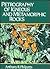 Petrography of Igneous and ...