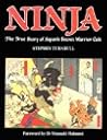 Ninja by stephen-turnbull