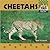 Cheetahs (Wild Cats)
