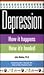 Depression: How It Happens How It's Healed