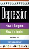 Depression: How It Happens How It's Healed (Paperback)